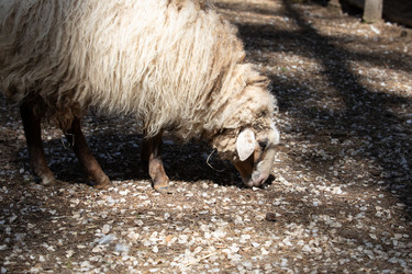 Similar image 22125642