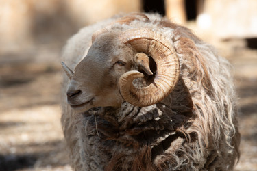 Similar image 22125643