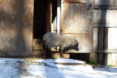 Similar image 22124959