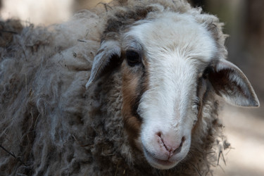 Similar image 22124961