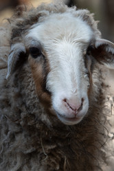 Similar image 22124962