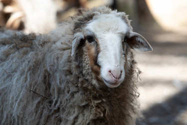 Similar image 22124963