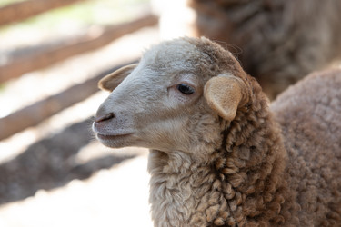 Similar image 22124965