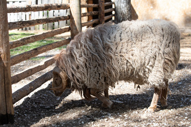 Similar image 22124966