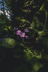 Similar image 22117574