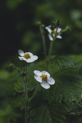 Similar image 22117579