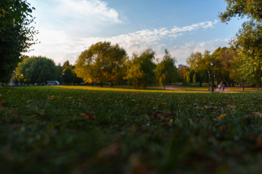 Similar image 22117580