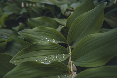 Similar image 22117581