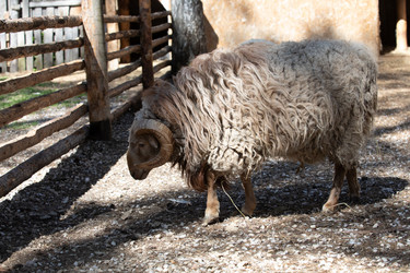 Similar image 22125416