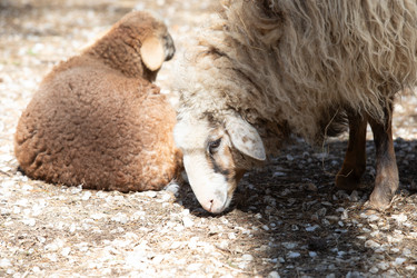 Similar image 22125417