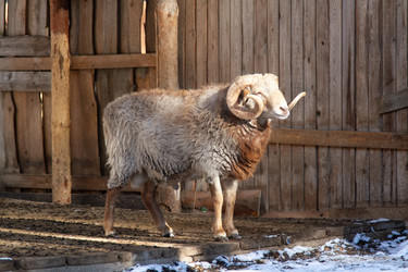 Similar image 22125418