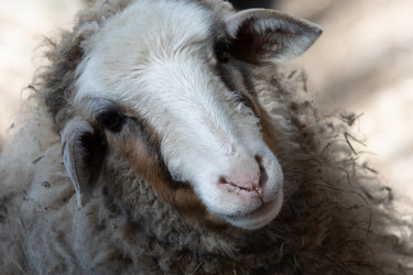 Similar image 22125419