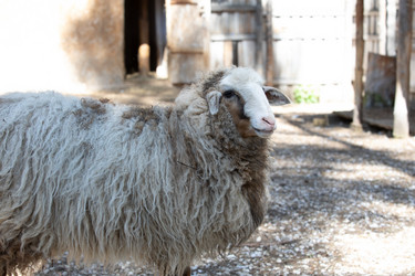 Similar image 22125420