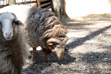 Similar image 22125421