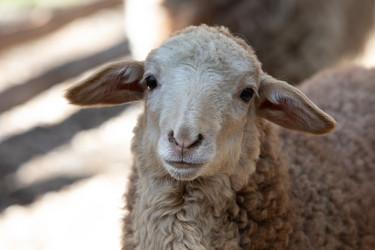 Similar image 22125422