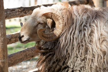 Similar image 22125423