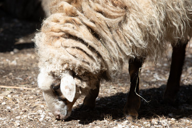 Similar image 22125499