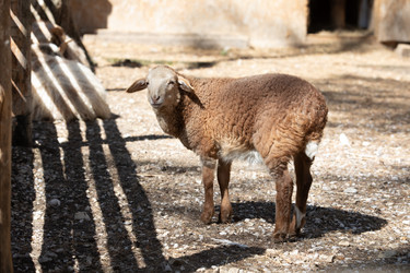 Similar image 22125500