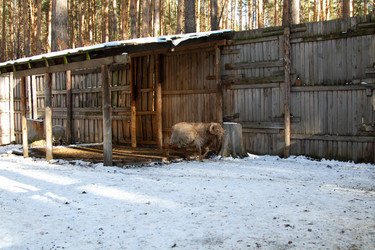 Similar image 22125501