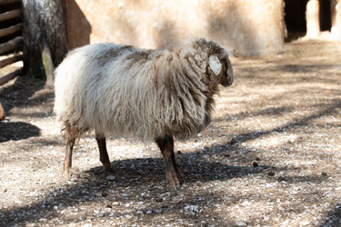 Similar image 22125502