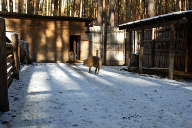 Similar image 22125503