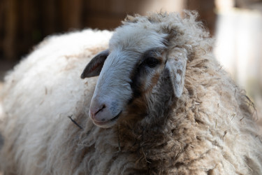 Similar image 22125506