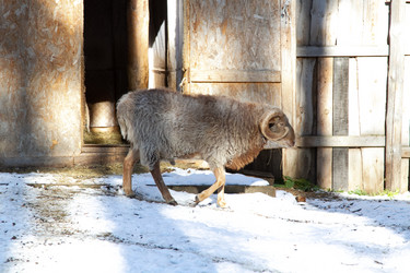 Similar image 22125507