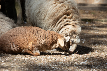 Similar image 22125508