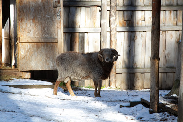 Similar image 22125509