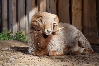 Similar image 22125511