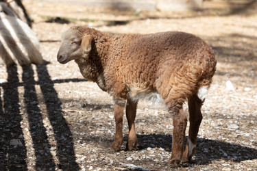 Similar image 22125513