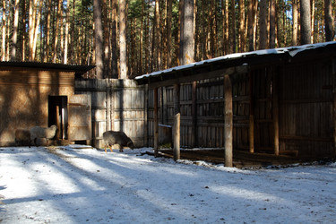 Similar image 22125514