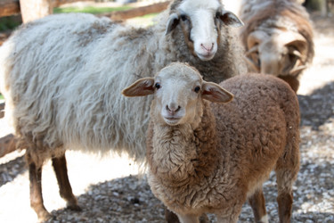 Similar image 22125515