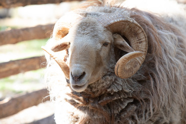 Similar image 22125516