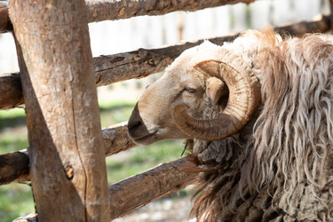 Similar image 22125518