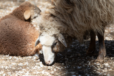 Similar image 22125519