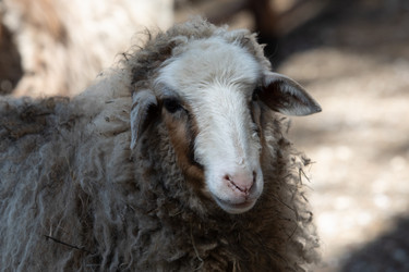 Similar image 22125600