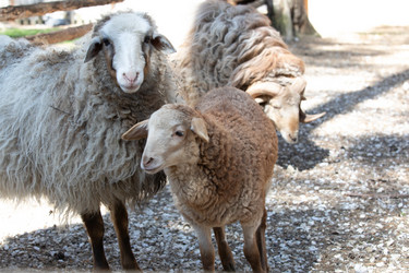 Similar image 22125601