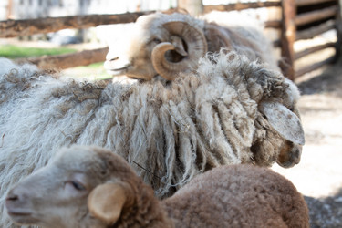 Similar image 22125602