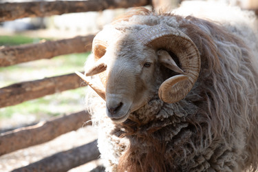 Similar image 22125603