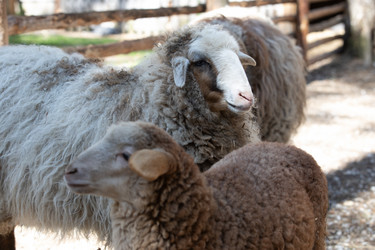 Similar image 22125604