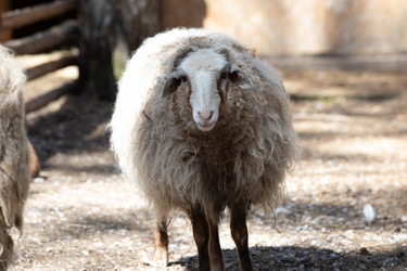 Similar image 22125605