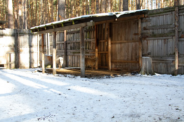 Similar image 22125607