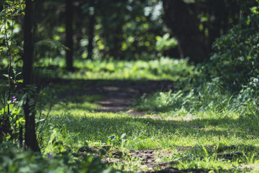 Similar image 22096736