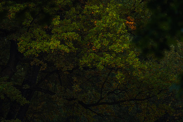 Similar image 22096829