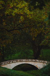 Similar image 22109476