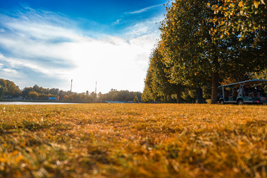 Similar image 22109477