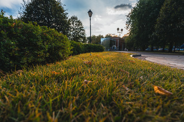 Similar image 22109480