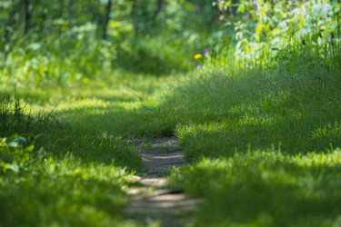 Similar image 22109481