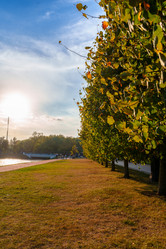 Similar image 22112291